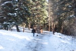 resIMG_20151123_153254_5058.JPG